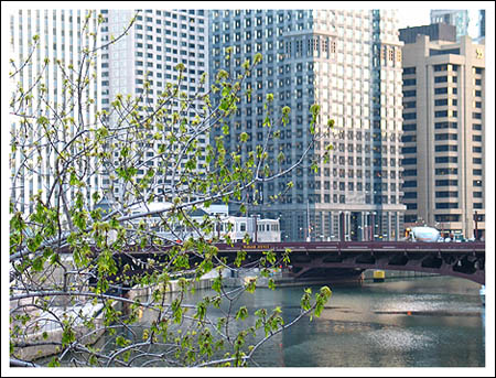 trump tower is to the right and under construction